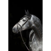 Covalliero Ear Net Empara Black