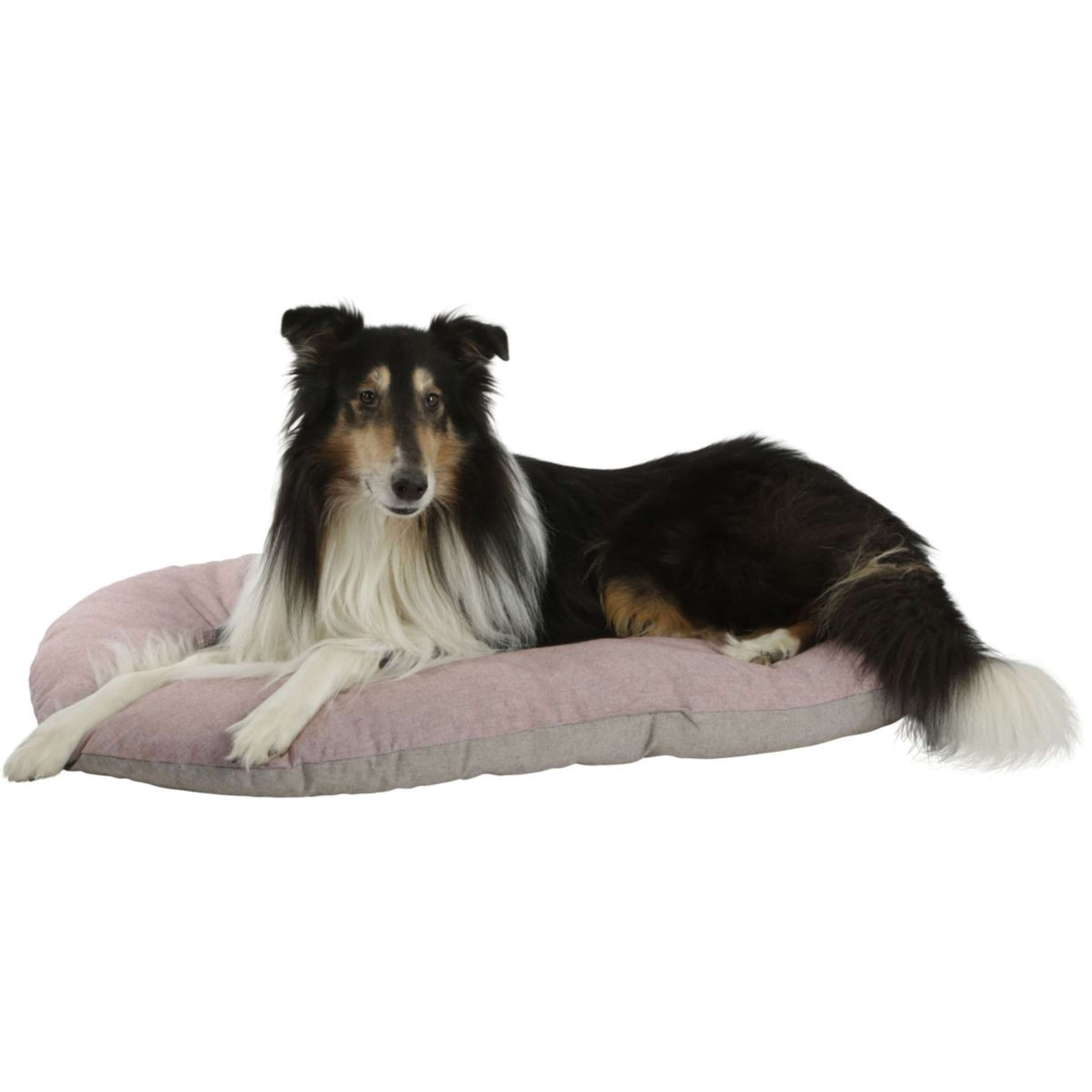 Kerbl Pet Cushion City Grey/Pink