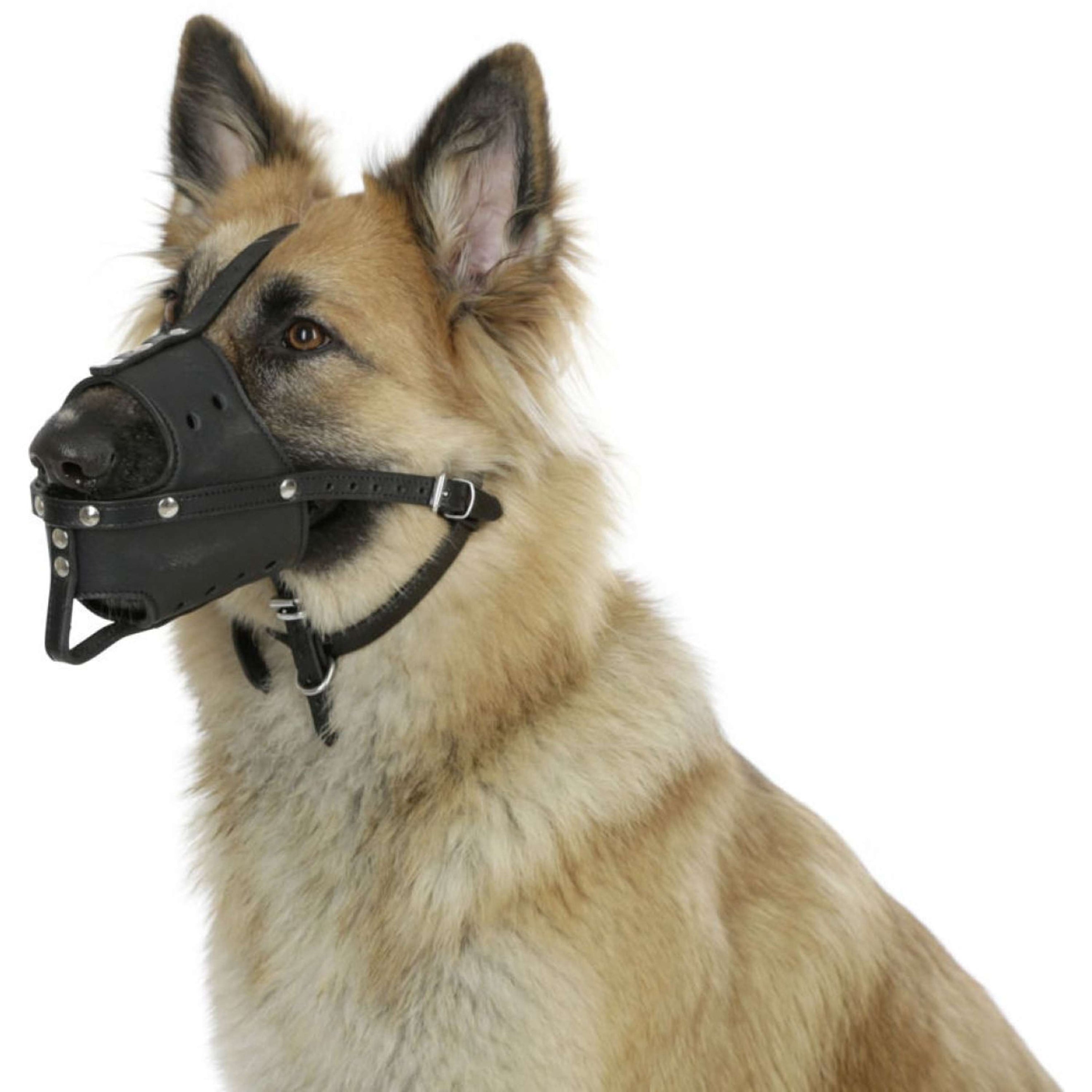 Kerbl Grazing Mask Black