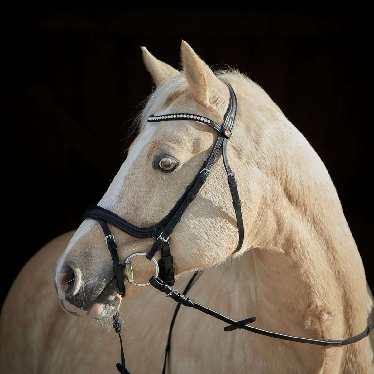 Kieffer Snaffle Bridle Ilona Bright Crystals