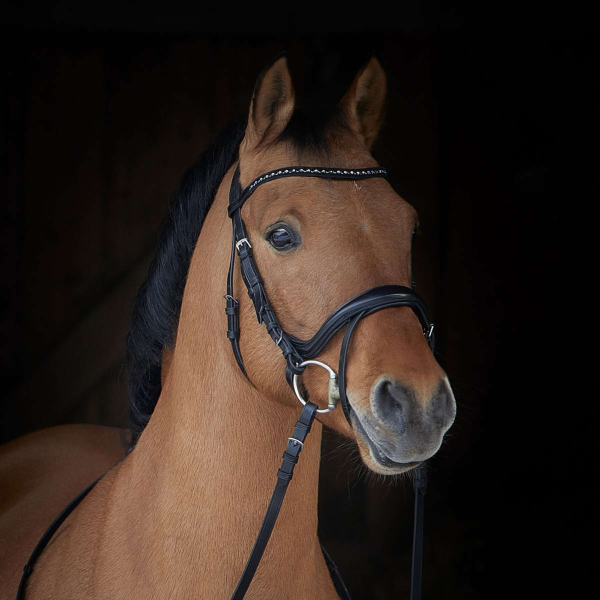 Kieffer Snaffle Bridle Ilona Black/White crystals