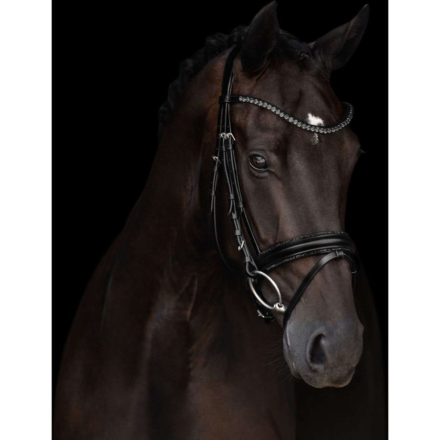 Kieffer Bridle Grace Black