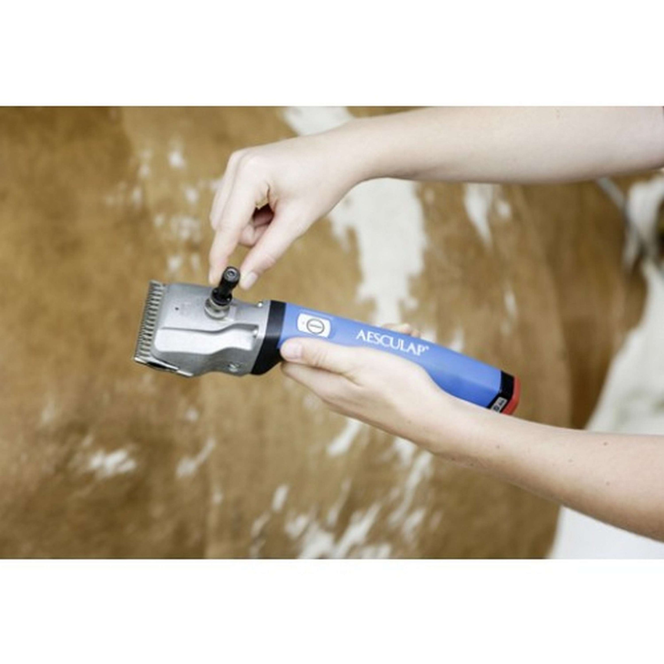 Aesculap Torque Wrench without adjusting Screw GT146 Aesculap Torque Wrench without adjusting Screw GT146