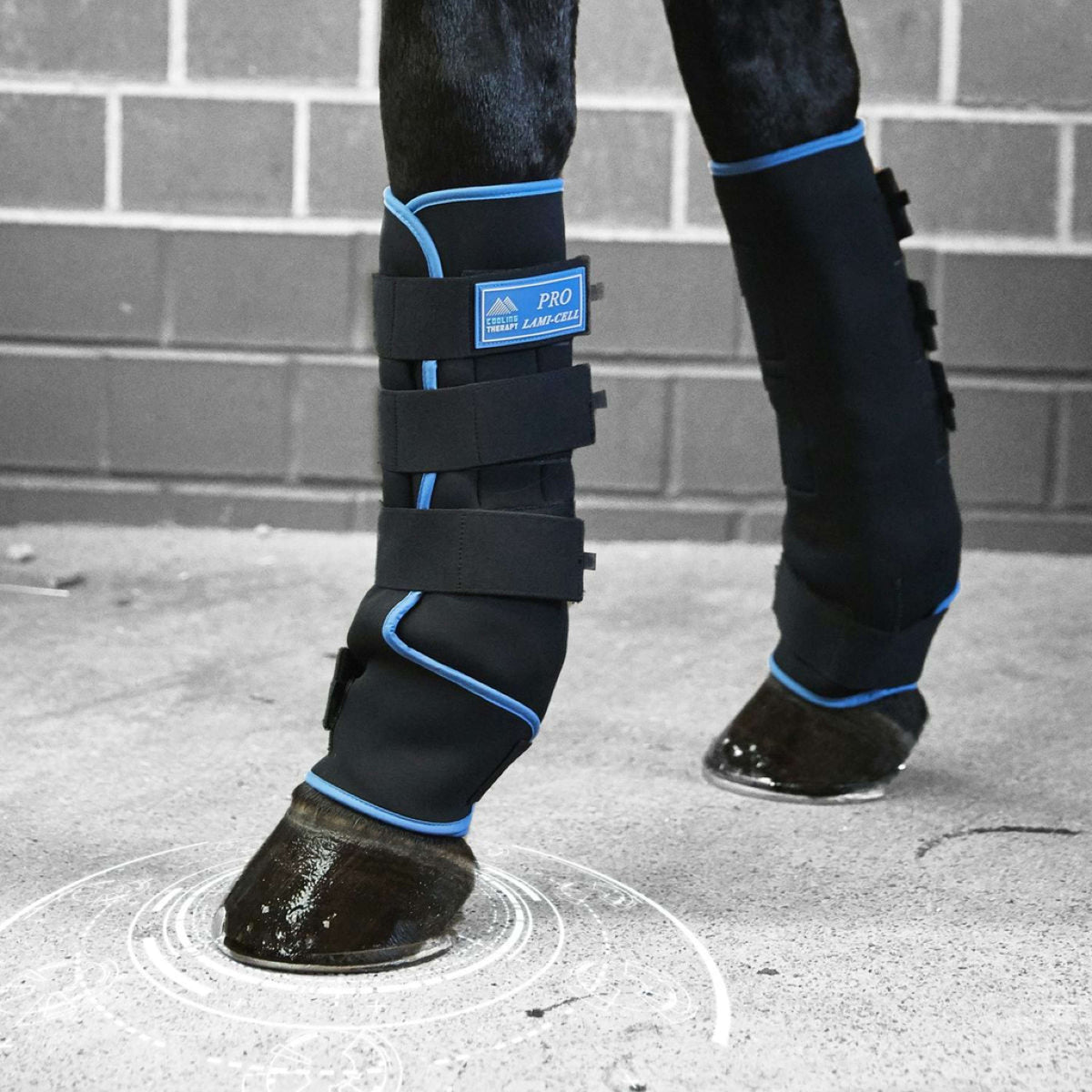 Lami-Cell Ice Boots Black/Blue