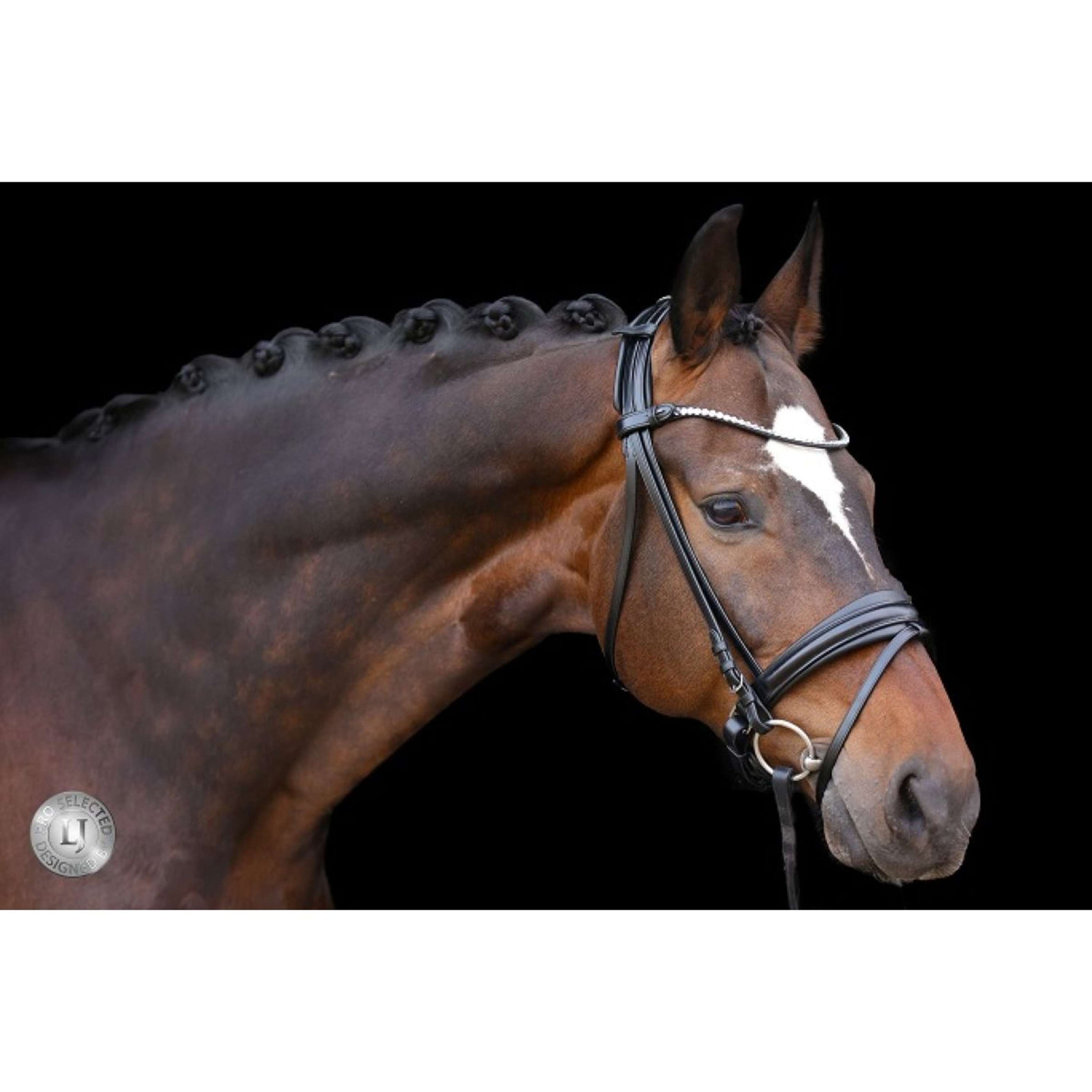 LJ-Leathers Bridle Limited Stellux Flat Cheek Pieces Black