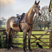 LeMieux Saddlepad Square Suede CC Brown