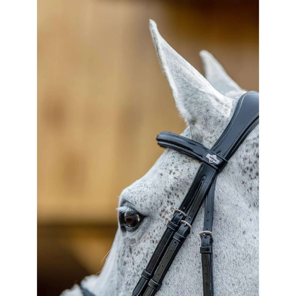 LeMieux Kudos Bridle Grackle Black