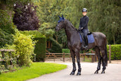 LeMieux Saddlepad Crystal Suede Dressage Navy