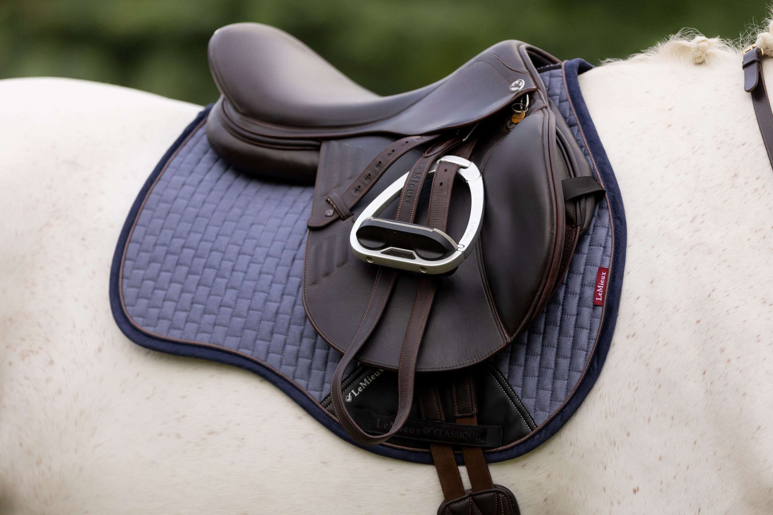 LeMieux Saddlepad Classique General Purpose Jay Blue