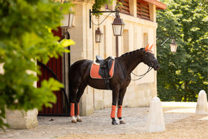 LeMieux Saddlepad Classique Suede Dressage Apricots