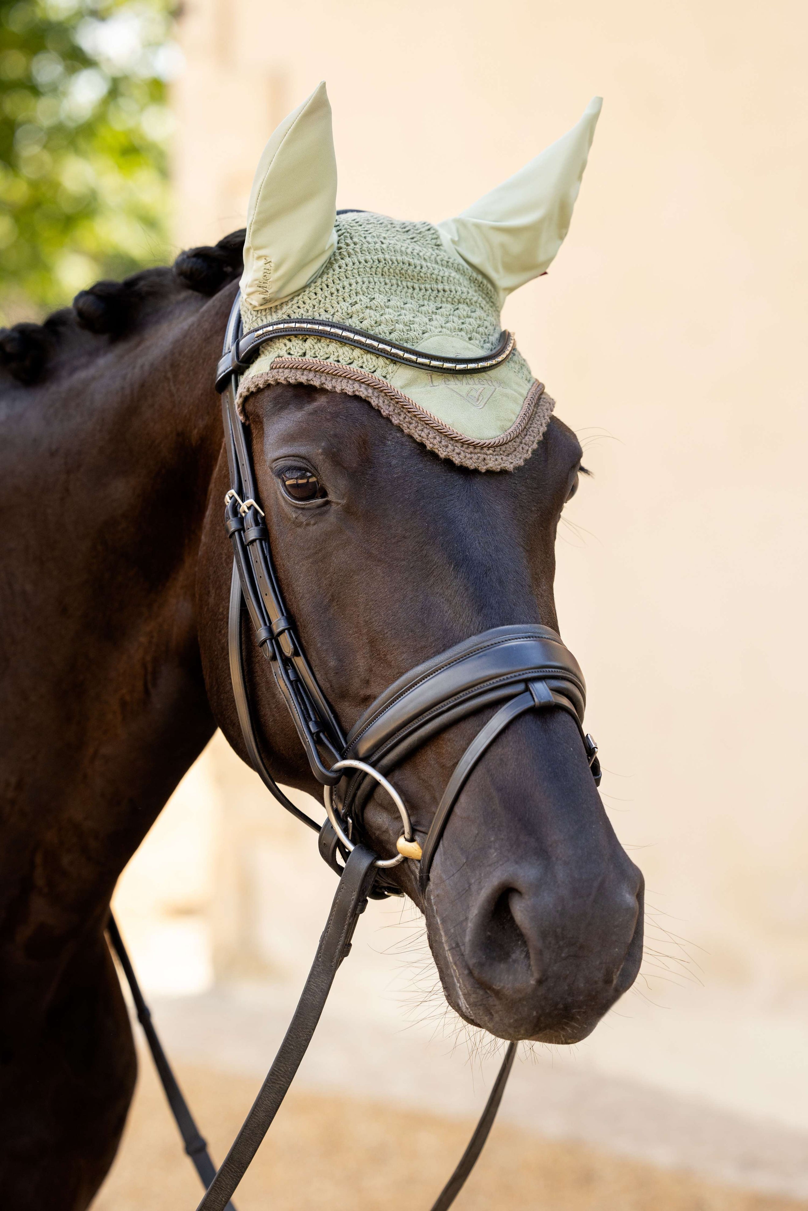 LeMieux Ear Bonnet Classic Fern