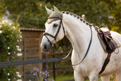 LeMieux Ear Bonnet Classic Fern