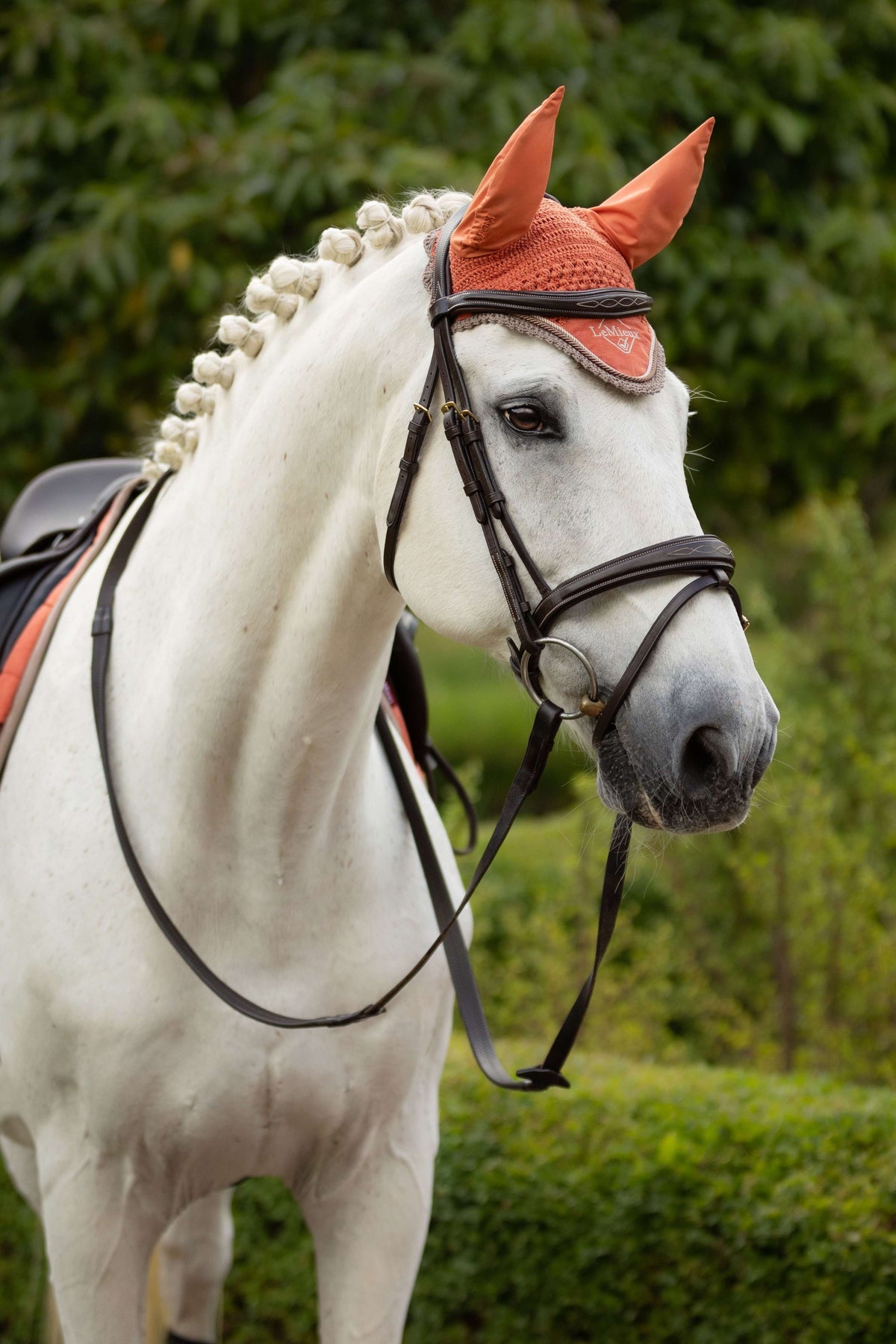 LeMieux Ear Bonnet Classic Apricots