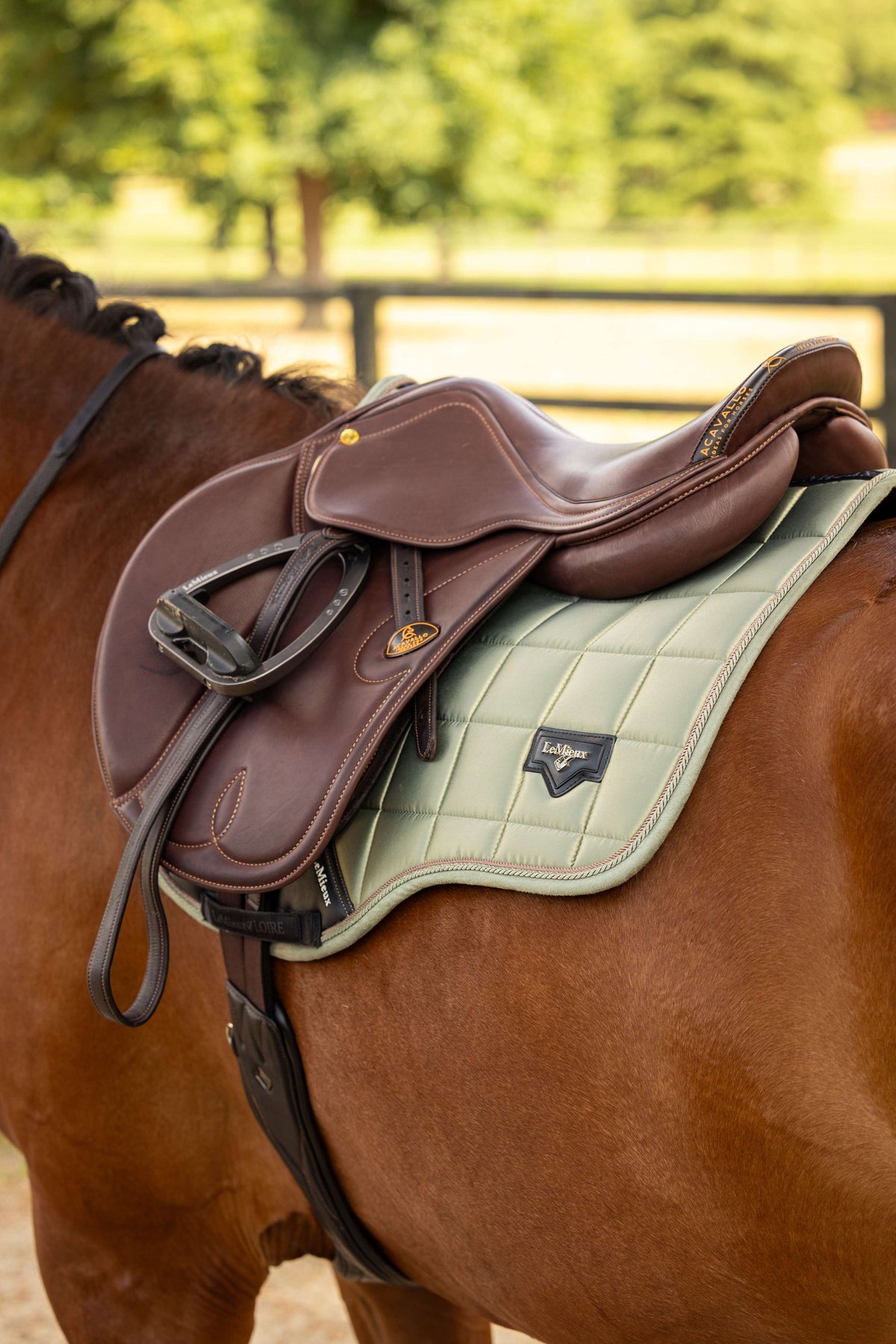 LeMieux Saddlepad Loire Classic General Purpose Fern