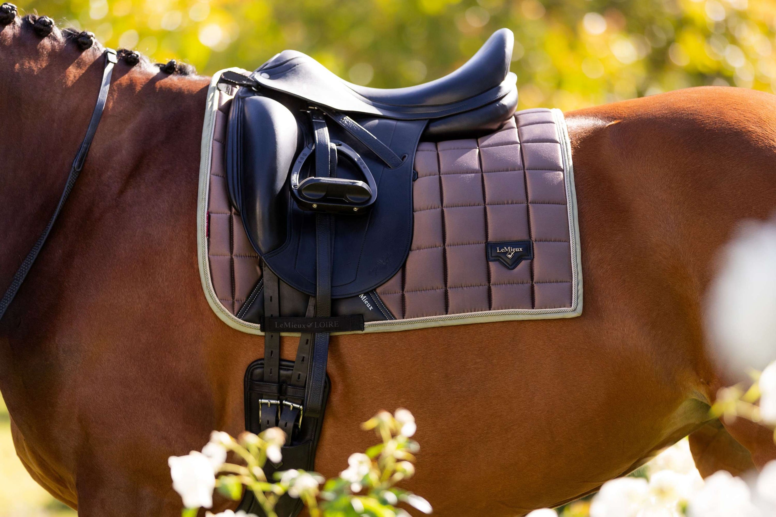 LeMieux Saddlepad Loire Classic Dressage Walnut