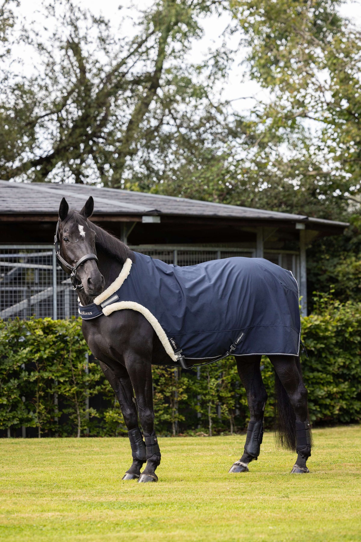 LeMieux Step Mill Rug Navy