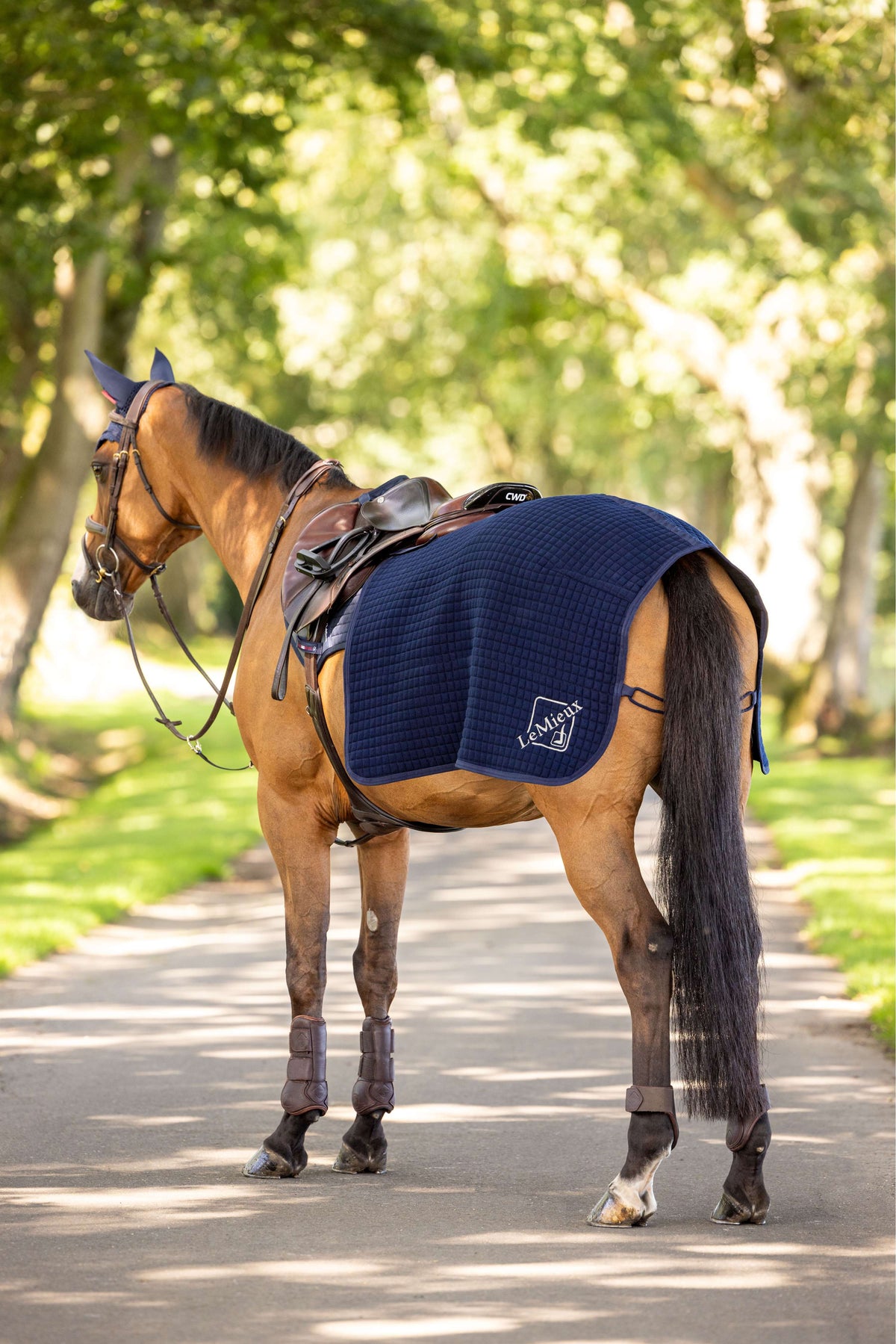 LeMieux Exercise Rug Clima-Tek Exercise Navy