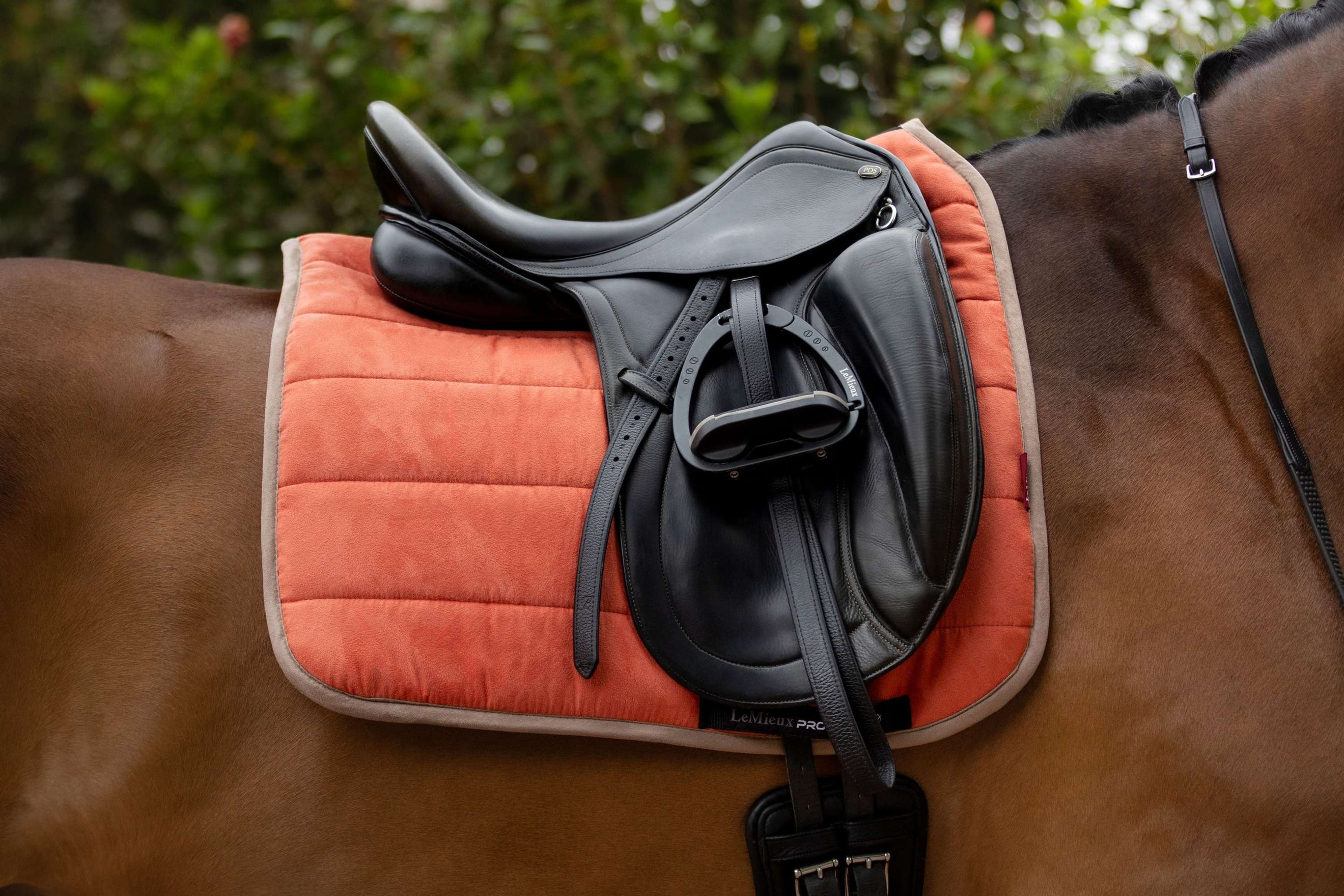 LeMieux Saddlepad Work Dressage Apricots