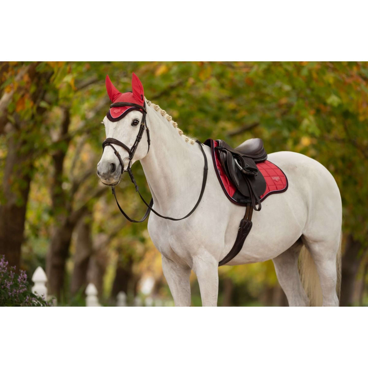 LeMieux Ear Bonnet Loire Cranberry