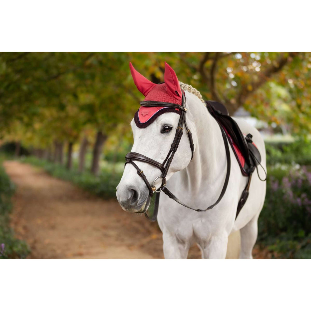 LeMieux Ear Bonnet Loire Cranberry