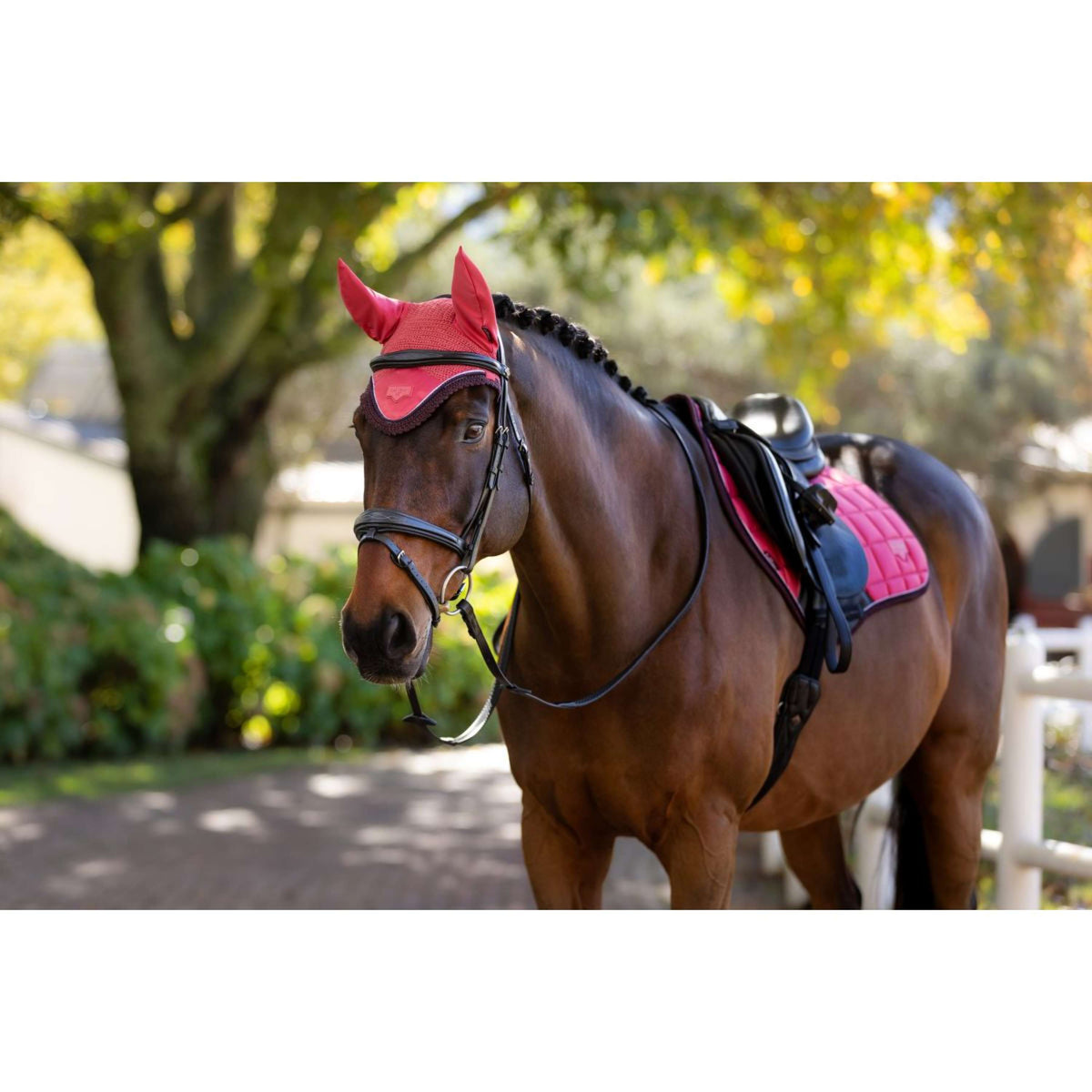 LeMieux Ear Bonnet Loire Cranberry