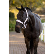 LeMieux Halter Versailles Lilac