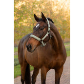 LeMieux Halter Essence Rosemary