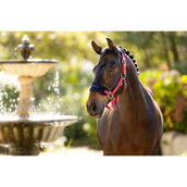 LeMieux Head Collar Set Vogue Cranberry