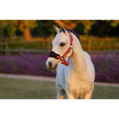 LeMieux Head Collar Set Mini Vogue Cranberry