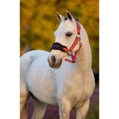 LeMieux Head Collar Set Mini Vogue Cranberry