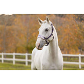 LeMieux Head Collar Set Vogue Juniper