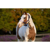 LeMieux Head Collar Set Mini Vogue Juniper