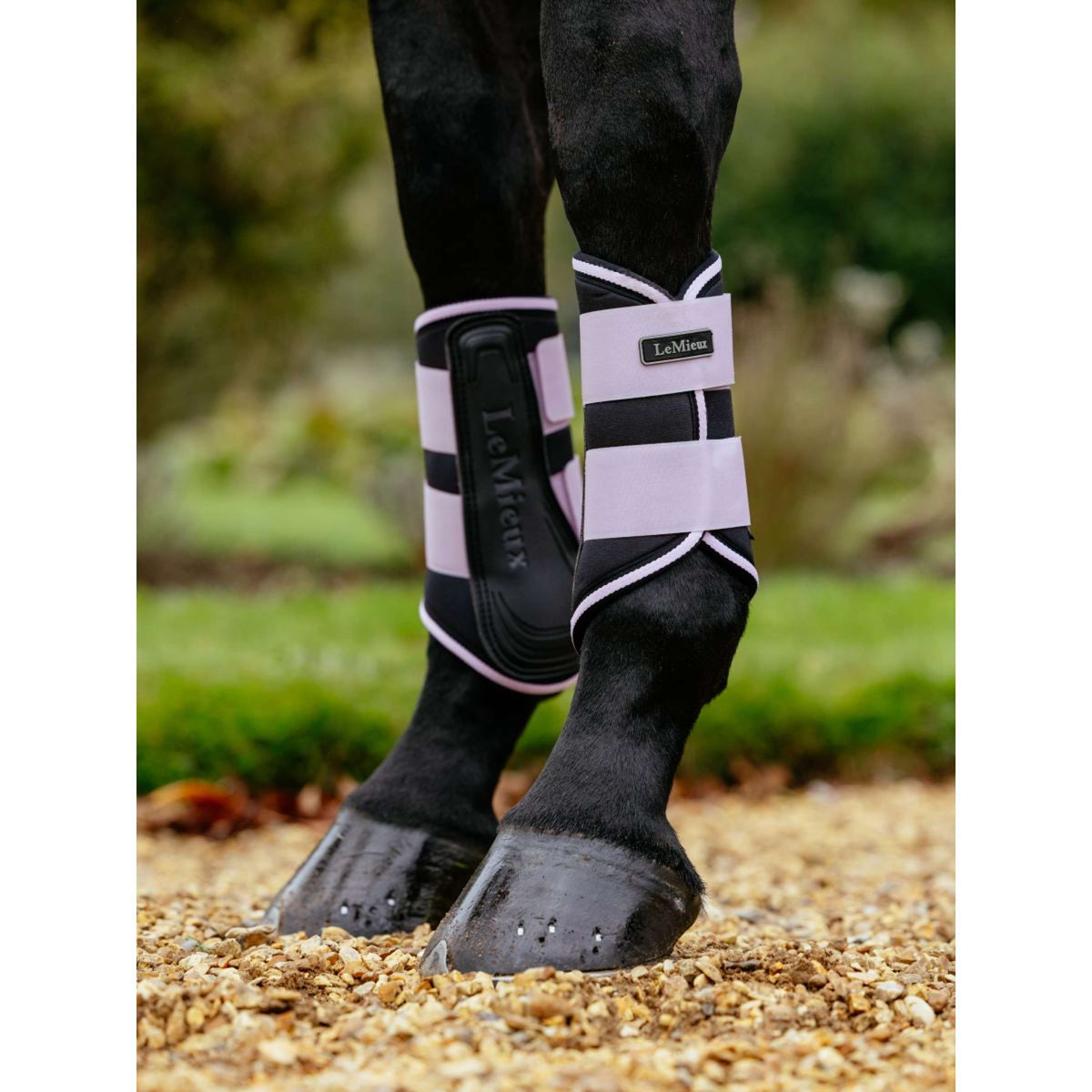 LeMieux Tendon Boots Grafter Lilac