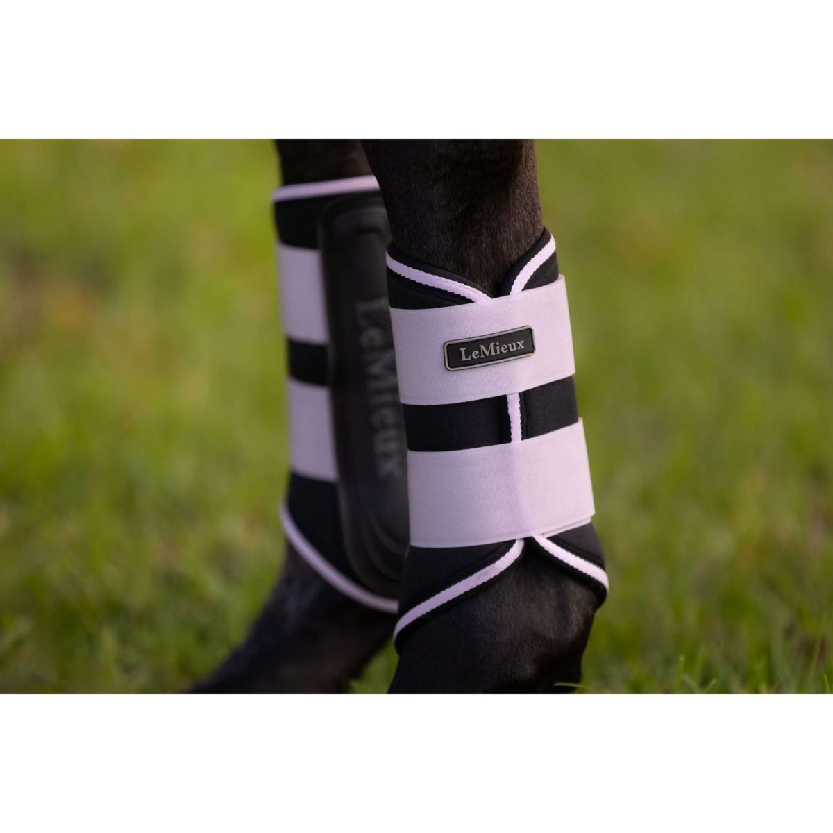 LeMieux Tendon Boots Grafter Lilac