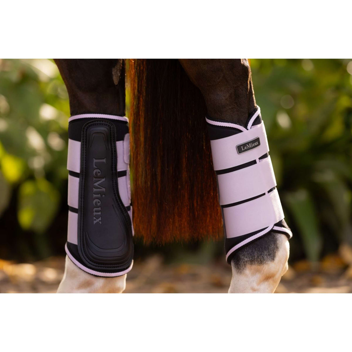 LeMieux Tendon Boots Grafter Lilac