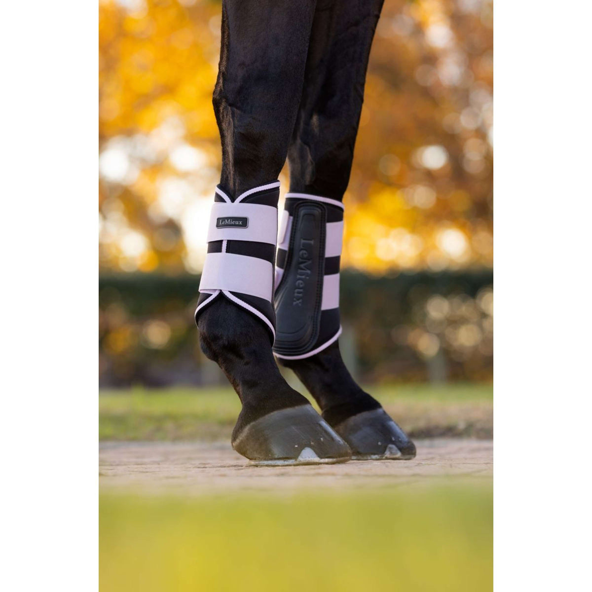 LeMieux Tendon Boots Grafter Lilac