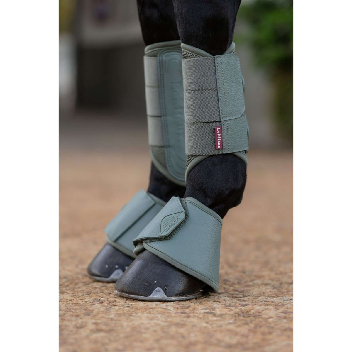 LeMieux Bell Boots Arika Rosemary