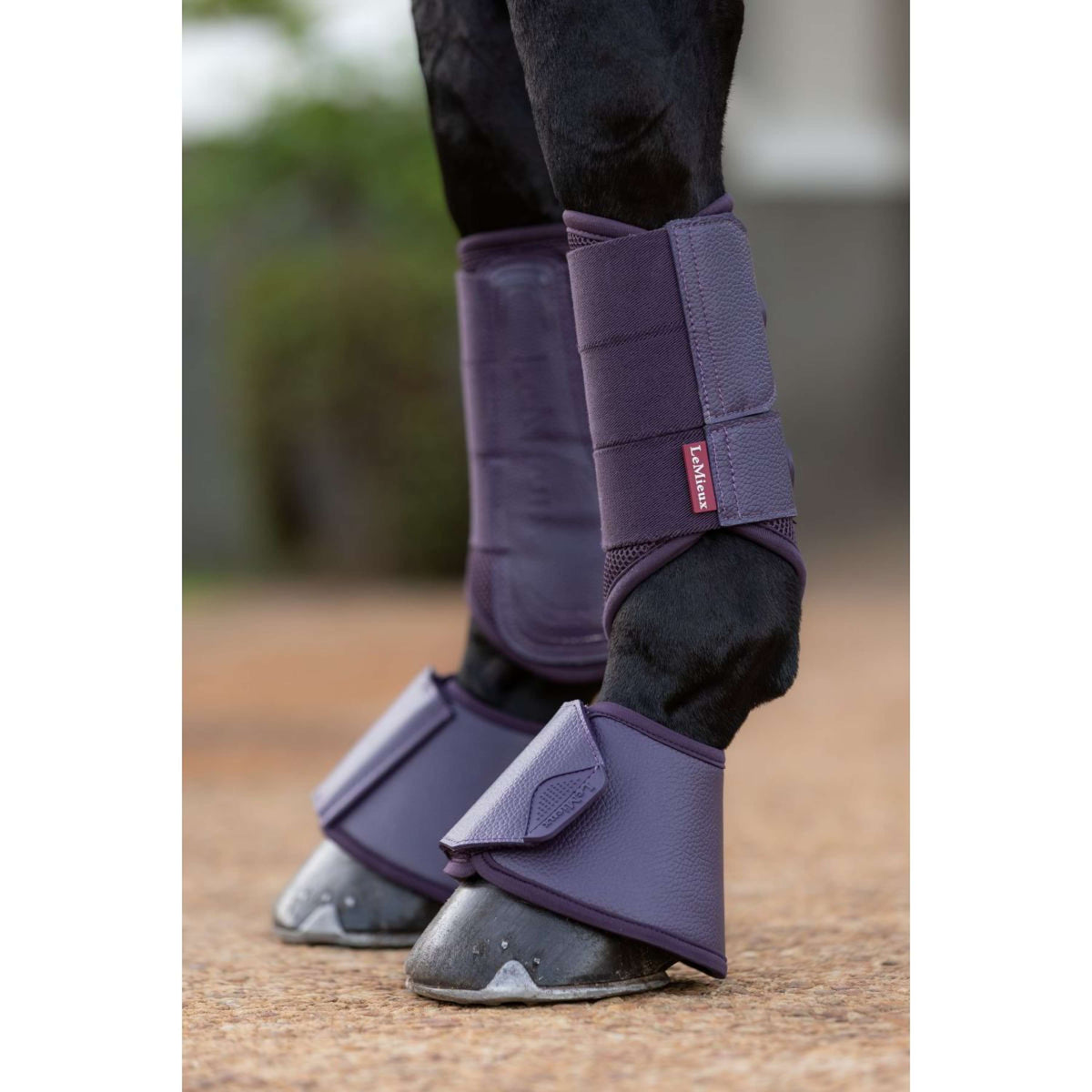 LeMieux Bell Boots Arika Juniper