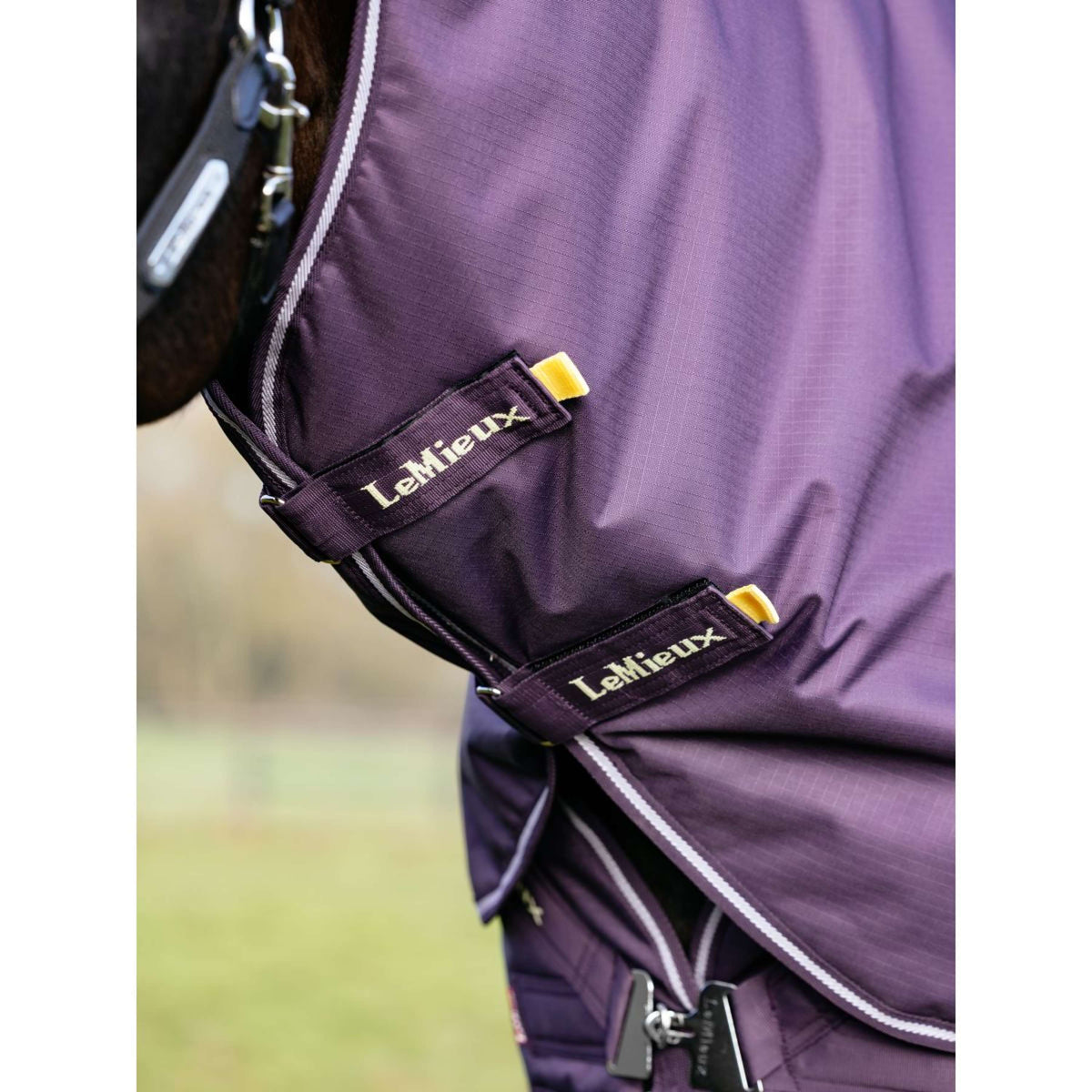 LeMieux Outdoor Rug Arika Ripstop 100g Juniper