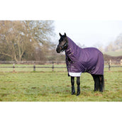 LeMieux Outdoor Rug Arika Ripstop 100g Juniper