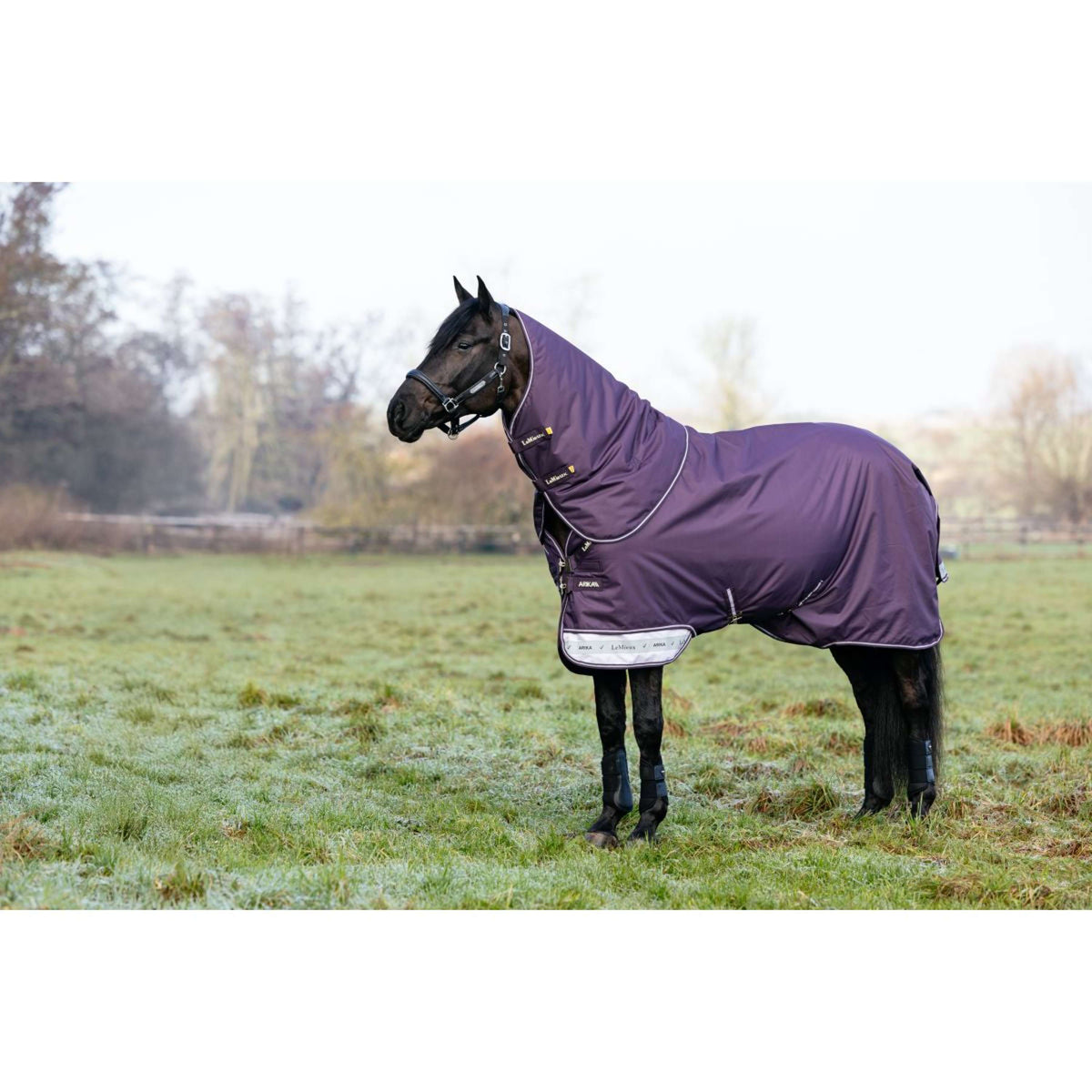 LeMieux Outdoor Rug Arika Ripstop 100g Juniper