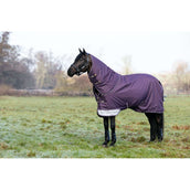 LeMieux Outdoor Rug Arika Ripstop 100g Juniper