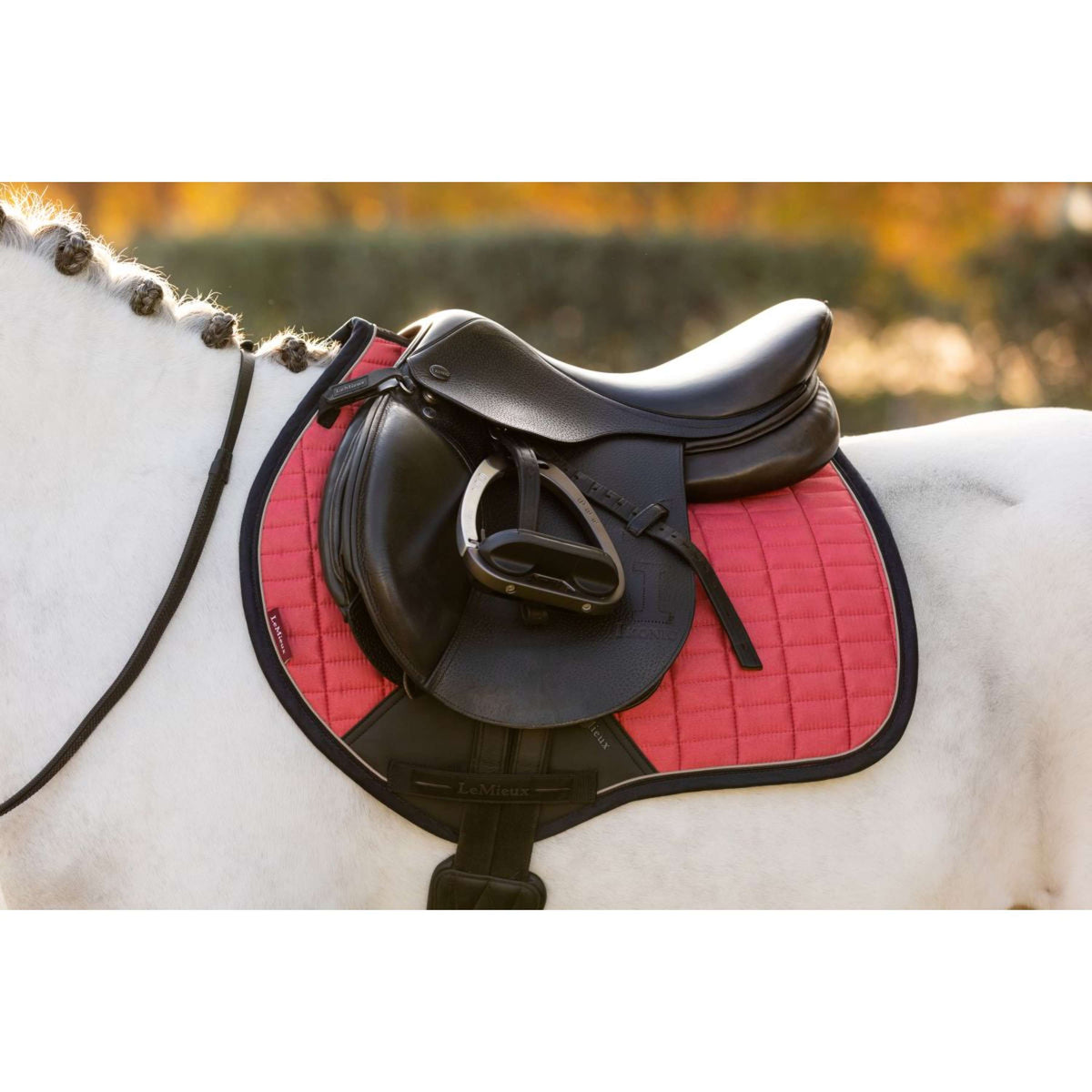 LeMieux Saddlepad Mini Suede Jumping Cranberry