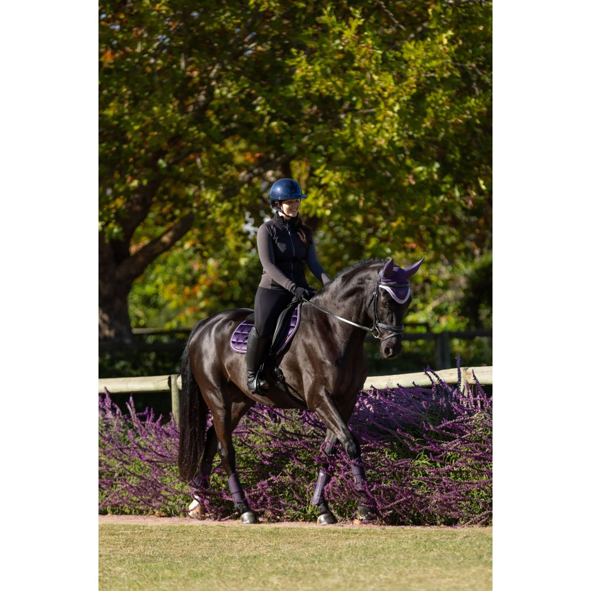 LeMieux Saddlepad Merino Loire Classic Jumping Juniper