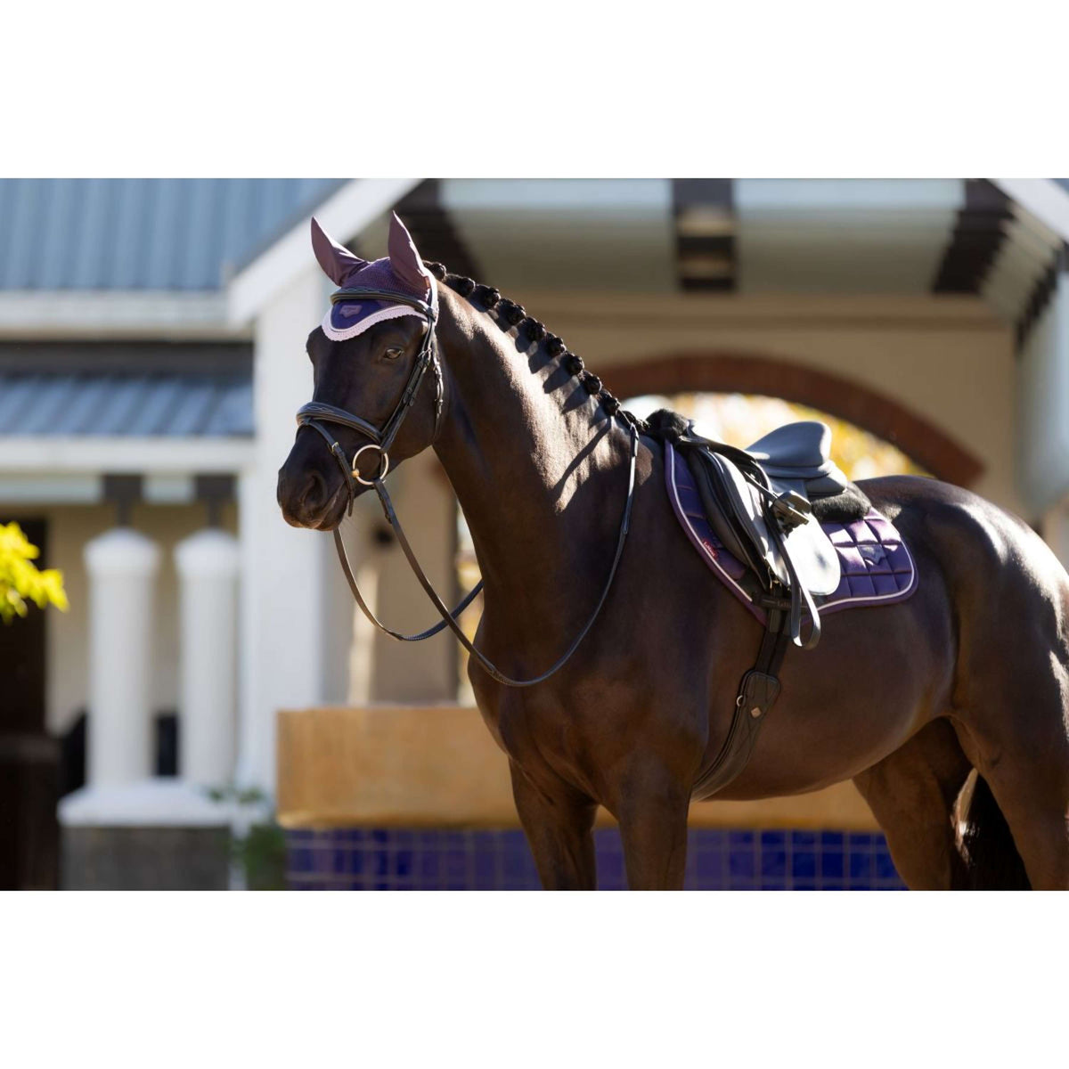 LeMieux Saddlepad Merino Loire Classic Jumping Juniper