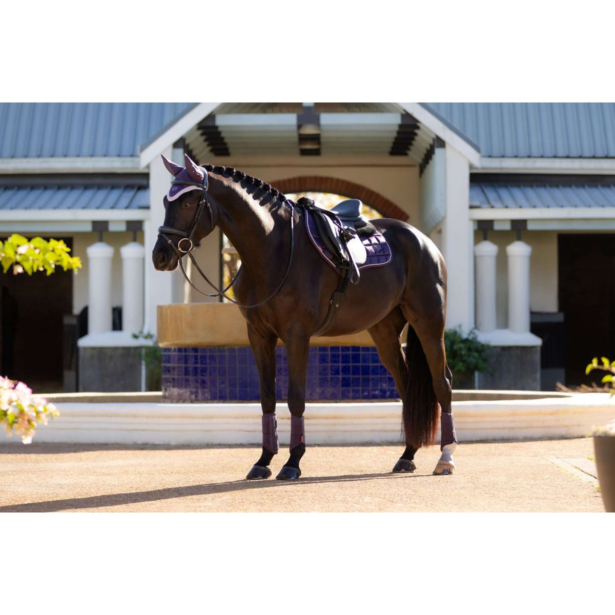 LeMieux Saddlepad Merino Loire Classic Jumping Juniper