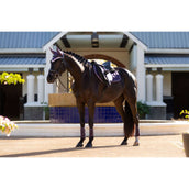 LeMieux Saddlepad Merino Loire Classic Jumping Juniper