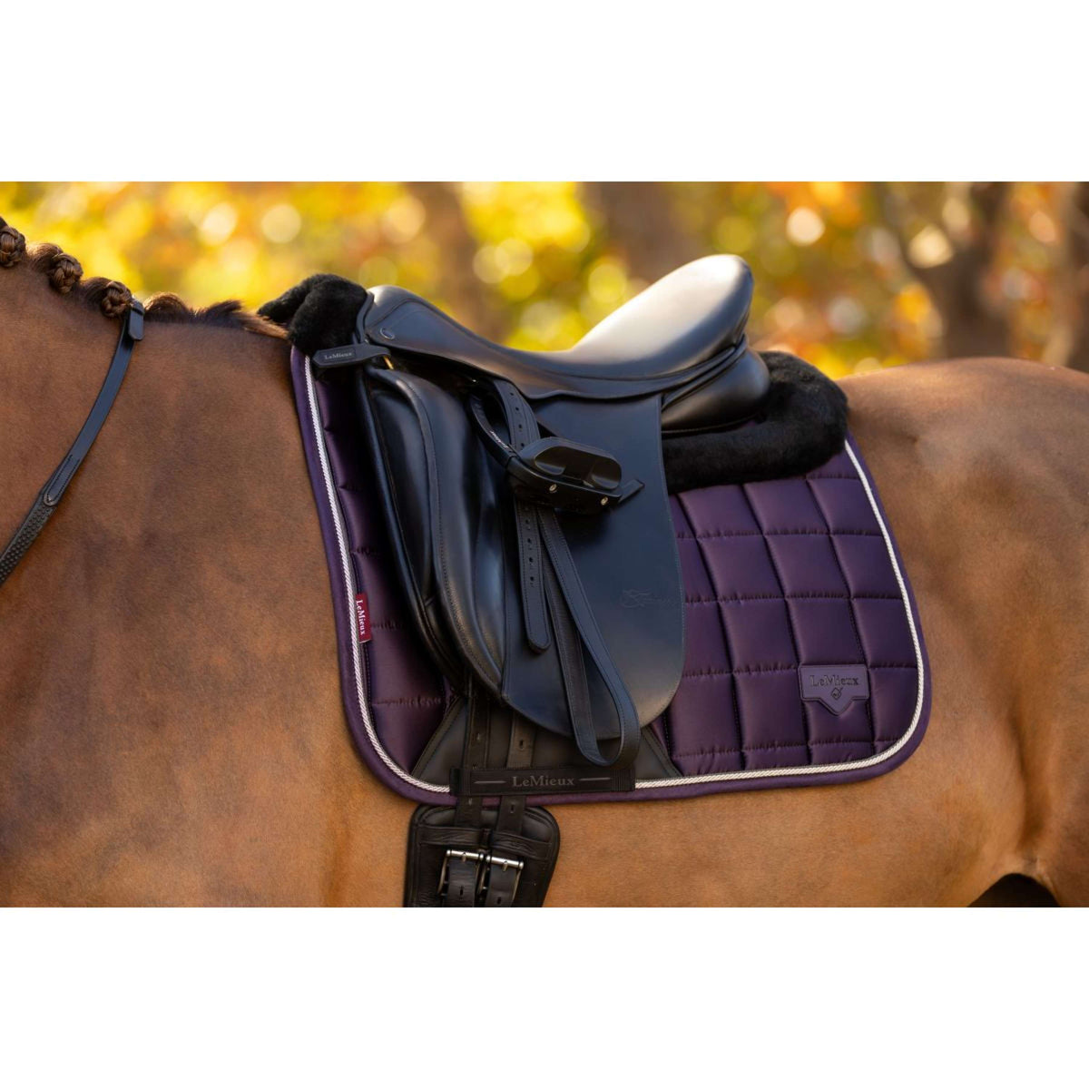 LeMieux Saddlepad Merino Loire Classic Dressage Juniper