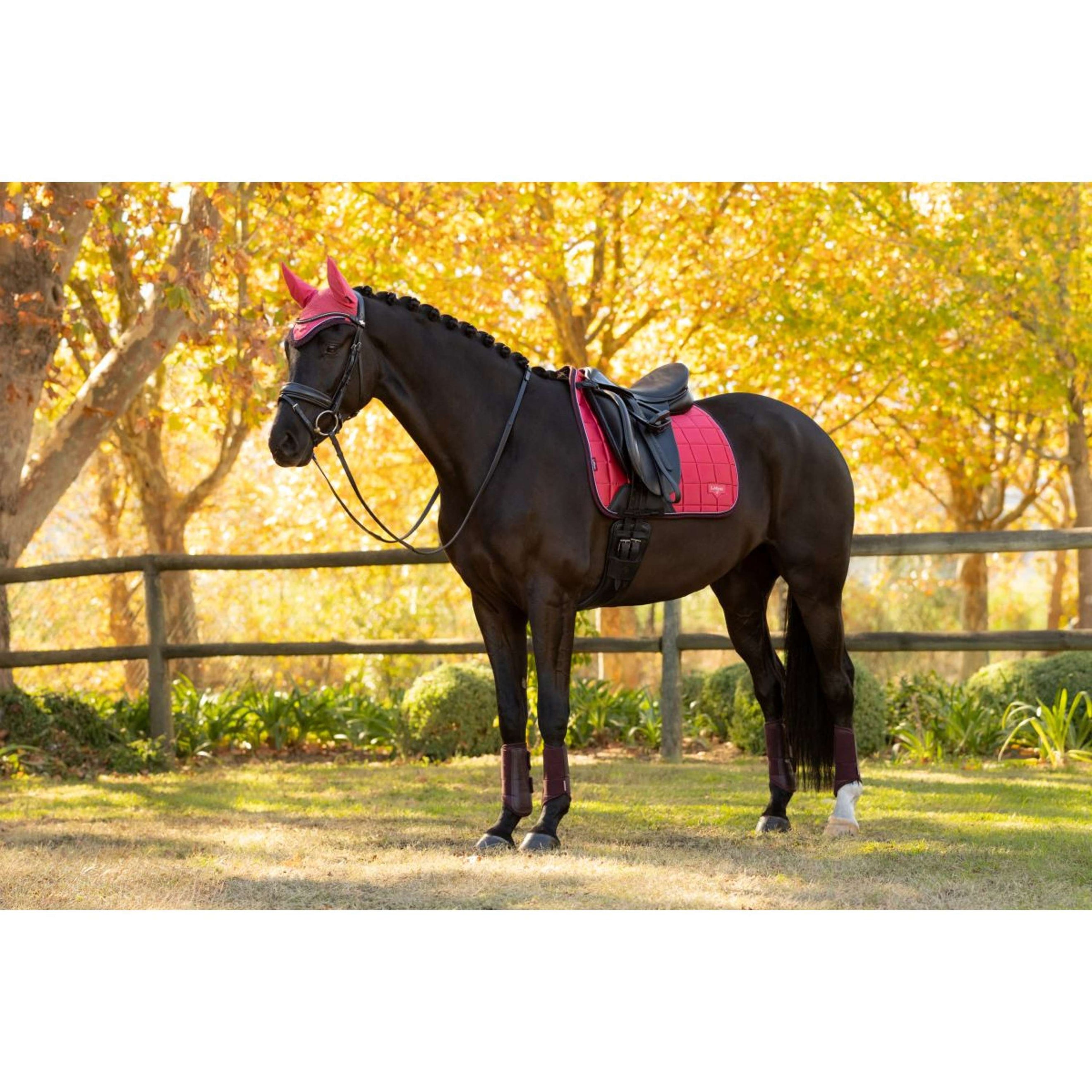 LeMieux Saddlepad Loire Classic Dressage Cranberry LeMieux Saddlepad Loire Classic Dressage Cranberry