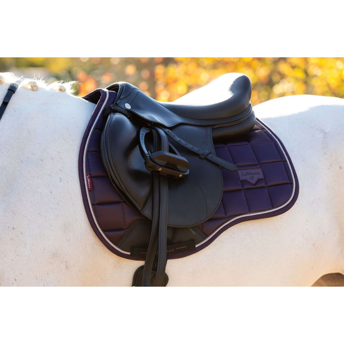 LeMieux Saddlepad Loire Classic General Purpose Juniper